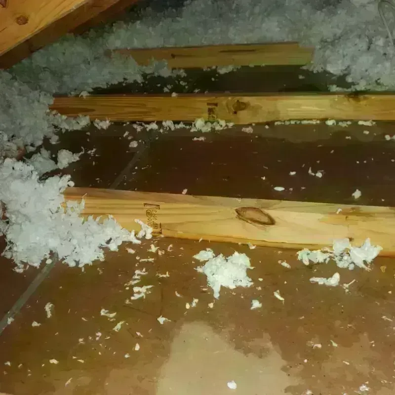 Attic Water Damage in Perry, IA