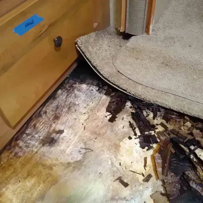 Wood Floor Water Damage in Perry, IA